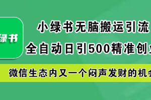 小绿书小白无脑搬运引流，全自动日引500精准创业粉，微信生态内又一个闷声发财的机会