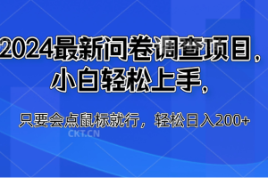 2024最新问卷调查项目，小白轻松上手，只要会点鼠标就行，轻松日入200+