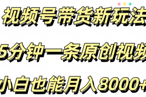 视频号带货新玩法，5分钟一条原创视频，小白也能月入8000+