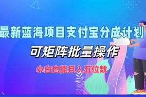 最新蓝海项目支付宝分成计划，小白也能月入五位数，可矩阵批量操作