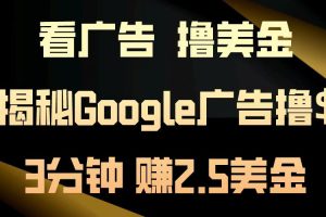 看广告，撸美金！3分钟赚2.5美金！日入200美金不是梦！揭秘Google广告撸美金全攻略！