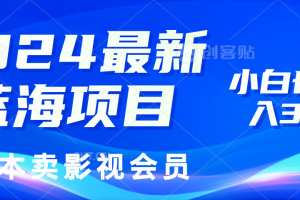 0成本卖影视会员，2024最新蓝海项目，小白也能日入3位数