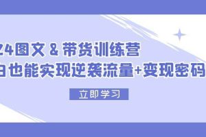 2024 图文+带货训练营，小白也能实现逆袭流量+变现密码