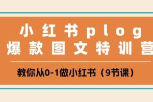 小红书 plog爆款图文特训营，教你从0-1做小红书（9节课）