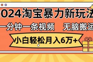 一分钟一条视频，无脑搬运，小白轻松月入6万+2024淘宝暴力新玩法，可批量