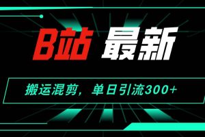 B站最新，搬运混剪，单日引流300+创业粉