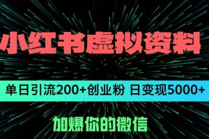 小红书虚拟资料日引流200+创业粉，单日变现5000+