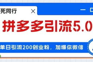 拼多多引流付费创业粉，单日引流200+，日入4000+