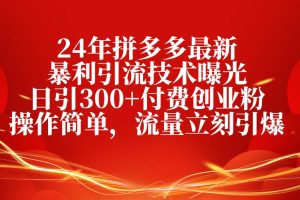 24年拼多多最新暴利引流技术曝光，日引300+付费创业粉，操作简单，流量…