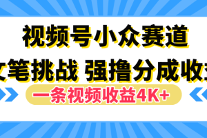 视频号小众赛道，文笔挑战，一条视频收益4K+