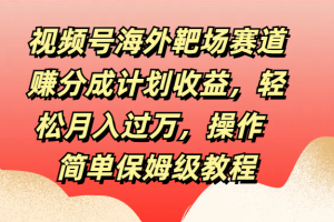 视频号海外靶场赛道赚分成计划收益，轻松月入过万，操作简单保姆级教程