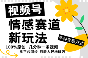 视频号情感赛道全新玩法，日入500+，5分钟一条原创视频，操作简单易上手，