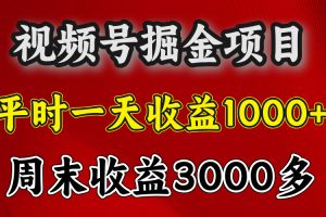 官方项目，一周一结算，平时收益一天1000左右，周六周日收益还高