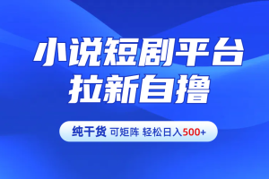 【纯干货】小说短剧平台拉新自撸玩法详解-单人轻松日入500+