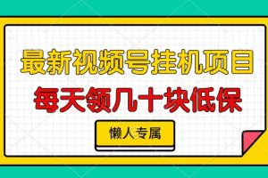 视频号挂机项目，每天几十块低保，懒人专属！