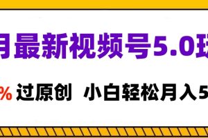 11月最新视频号5.0玩法，100%过原创，小白轻松月入5位数