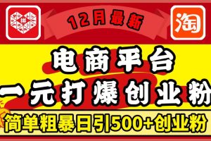 12月最新：电商平台1元打爆创业粉，简单粗暴日引500+精准创业粉，轻松月入5万+