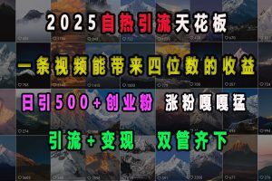 2025自热引流天花板，一条视频能带来四位数的收益，引流+变现双管齐下，日引500+创业粉，涨粉嘎嘎猛