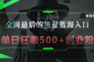 全网最后的流量蓝海入口，半小时引流50+创业粉，单日狂吸500+创业粉