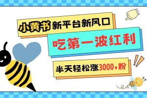 网易版小红书重磅来袭，新平台新风口，管理宽松，半天轻松涨3000粉，第一波红利等你来吃