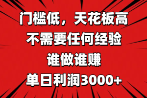 门槛低，收益高，不需要任何经验，谁做谁赚，单日利润3000+