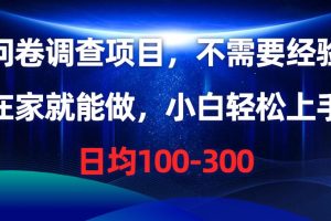 问卷调查项目，在家就能做，不需要经验，日均100-300