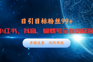 小红书，抖音，蝴蝶号三大平台全自动精准引流获客，每天吸引目标客户99+