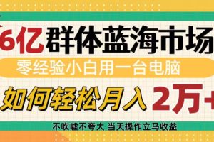 6亿群体蓝海市场，零经验小白用一台电脑，如何轻松月入2万+