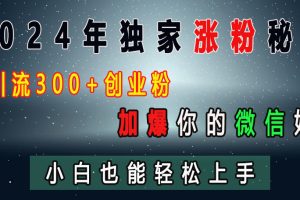 2024年独家涨粉秘籍，日引流300+创业粉，加爆你的微信好友，小白也能轻松上手