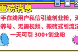 通过给快手在线用户私信引流创业粉，无需养号、无需视频、搬砖式引流法，一天可引300+创业粉