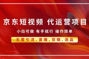 京东带货代运营 年底翻身项目，小白有手就行，月入8000+