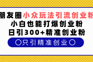 朋友圈小众玩法引流创业粉，小白也能打爆创业粉，日引300+精准创业粉