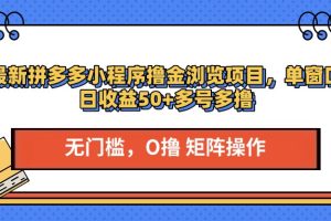 最新拼多多小程序撸金浏览项目，单窗口日收益50+多号多撸