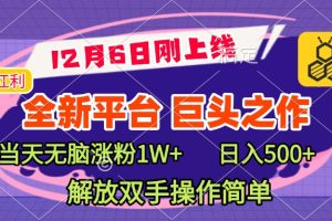 全新引流平台，巨头之作，当天无脑涨粉1W+，日入现500+，解放双手操作简单