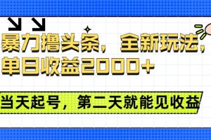 暴力撸头条全新玩法，单日收益2000+，小白也能无脑操作，当天起号，第二天见收益