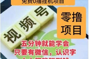 微信视频号挂机零成本撸米项目，单号一天收益多米，帐号越多收益就越高！