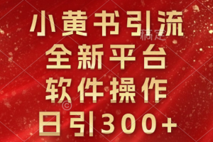 小黄书引流，全新平台，软件操作，日引300+