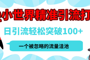 QQ小世界，被严重低估的私域引流平台，流量年轻且巨大，实操单日引流100+创业粉，月精准变现1W+