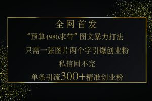 小红书，“预算 4980 带我飞” 的神奇图片引流法，堪称涨粉核武器！只需一张图，就能单条笔记凭借此方法，轻松引流 300 + 精准创业粉！