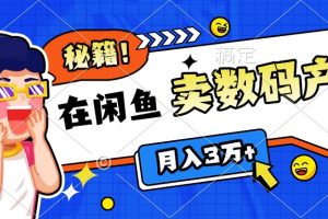 靠在闲鱼卖数码产品日入1000+技巧