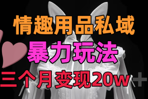 情趣用品私域，25年最新暴力玩法，三个月变现20w➕