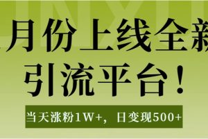 1月上线全新引流平台，当天涨粉1W+，日变现500+工具无脑涨粉，解放双手操作简单