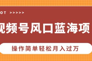 视频号风口蓝海项目，中老年人的流量密码，操作简单轻松月入过万