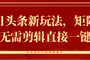 今日头条新玩法，矩阵操作，无需剪辑直接一键转发