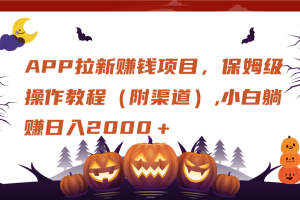 APP拉新赚钱项目，保姆级操作教程（附渠道）,小白躺赚日入2000＋