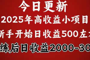 2025开年好项目，新手日收益500+ 熟练掌握后，日收益平均2000多